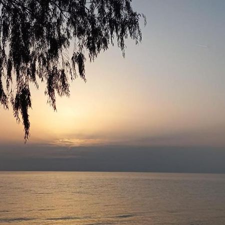 Mert Apart Hotel Beldibi  Bagian luar foto